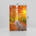 Obraz na płótnie 80x120 - Kolorowe drzewa na ścieżce jesieni - las, jesień