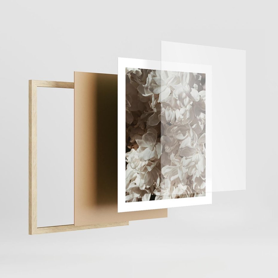 Plakat w ramie 40x50 - Płatki w Detalu - białe kwiaty, zbliżenie - rama drewno