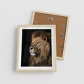 Plakat w ramie 40x50 - Władca Dzikiej Przyrody - lew, król - rama drewno