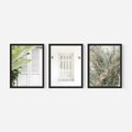 Zestaw obrazy w ramie 30x40 galeria - Okiennica, liście, biały - rama czarna