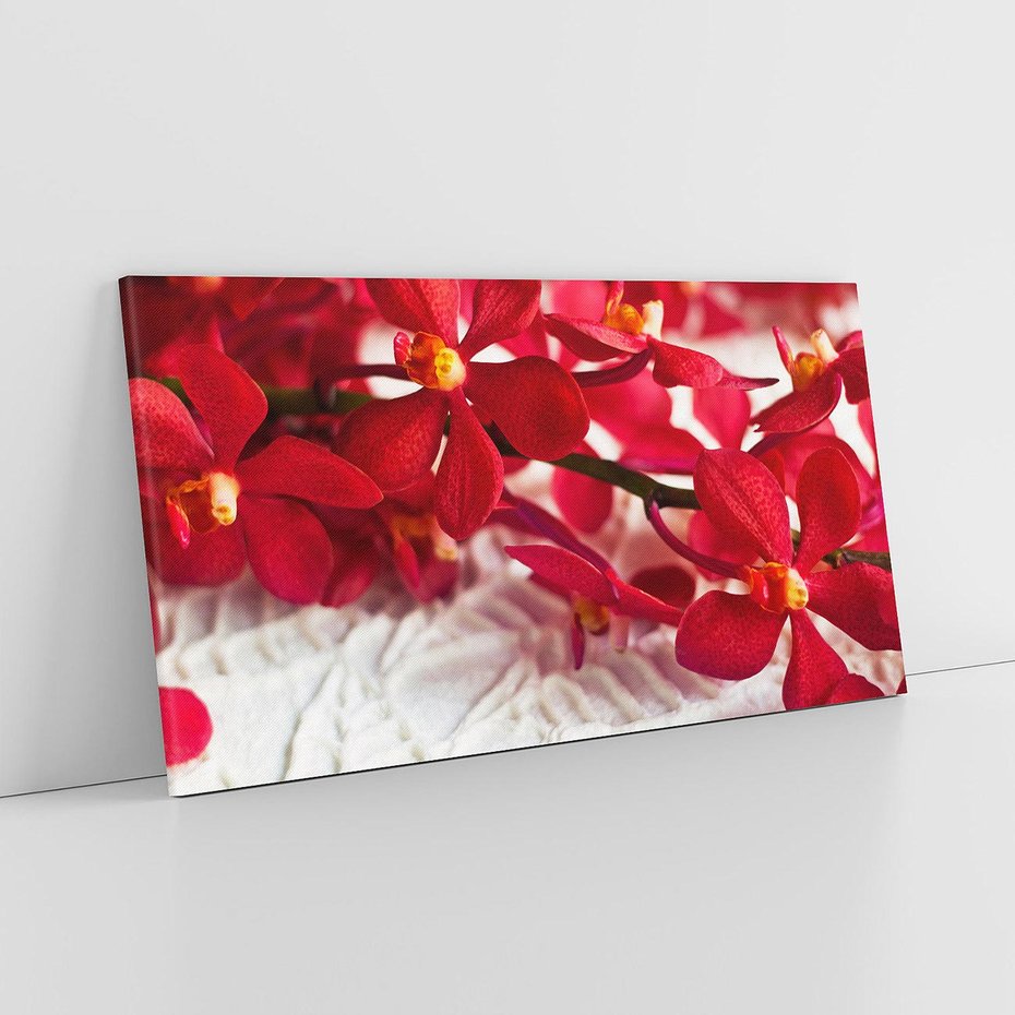 Obraz na płótnie 100x50 - Delikatność Kwiatowej Elegancji - orchidea, kwiat