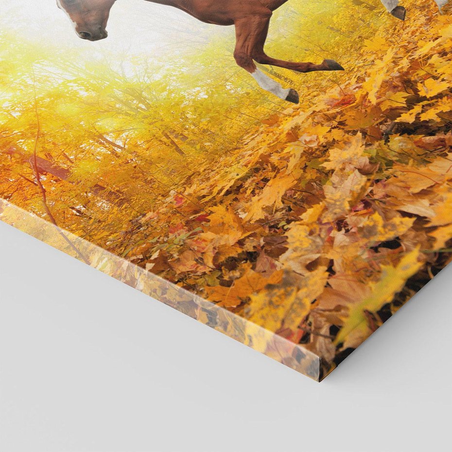 Obraz na płótnie 40x40 - Moc konia w zachodzie słońca - koń, słońce