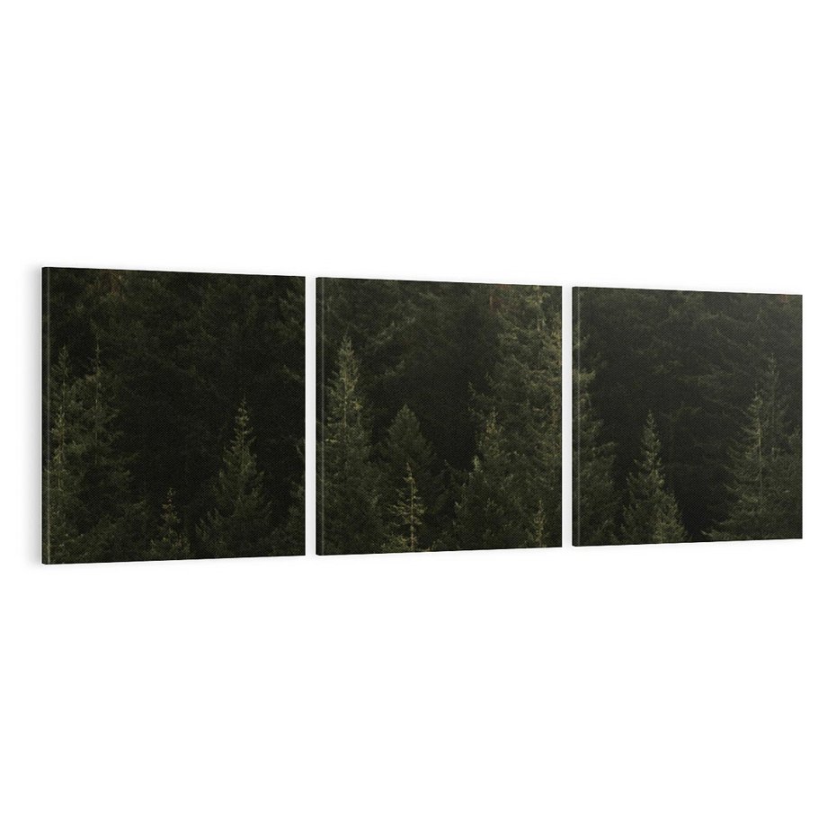 Obraz na płótnie 120x40 - Ciemny las iglasty - las, iglasty
