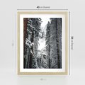 Plakat w ramie 40x50 - Cicha Magia Zimowego Lasu - zimowy las, ośnieżone drzewa - rama drewno