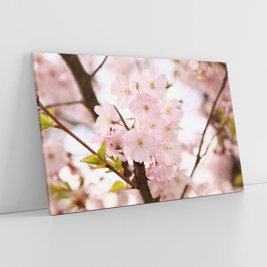 Obraz na płótnie 100x70 - Kwiatowe Różnorodnośc - kwiat, kwiaty