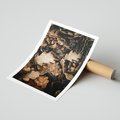 Plakat bez ramy 30x40 - Jesienna Melodia: Liście i Szyszki - suche liście, szyszki