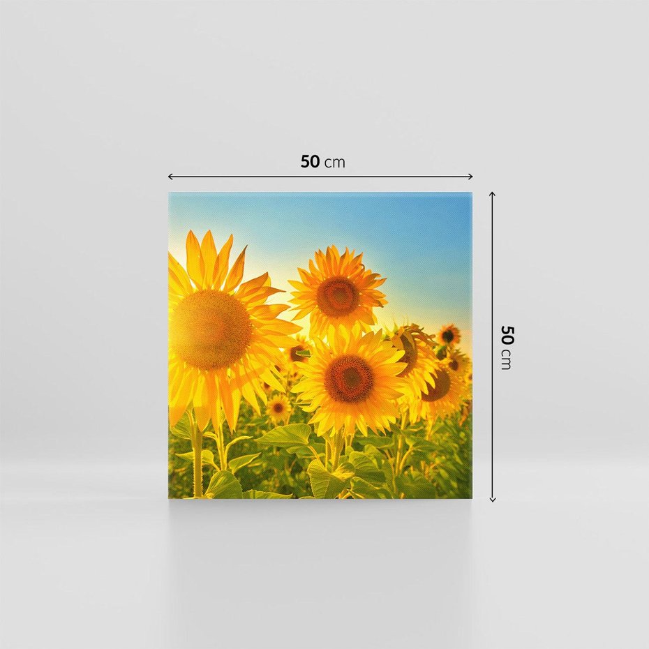 Obraz na płótnie 50x50 - kolorowe promienie - słoneczniki, kwiaty