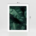 Plakat bez ramy 30x40 - Liście Bananowca - minimalizm, zielone liście bananowca