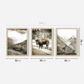 Zestaw obrazy w ramie 50x70 galeria - Góry, bizon, kozica - rama drewno