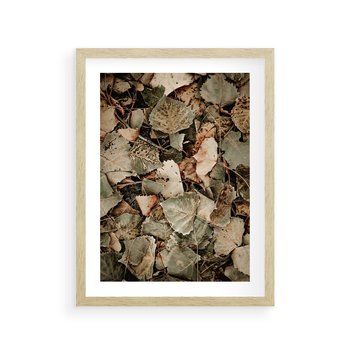 Plakat w ramie 30x40 - Magia Jesiennych Liści - liście, suche liście - rama drewno