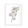 Plakat w ramie 40x50 - Ekskluzywny Relaks - storczyk, spa - rama biała