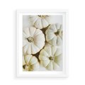 Plakat w ramie 50x70 - Jesienne Dynie: Delikatna Kompozycja - białe dynie, jasna kompozycja - rama biała