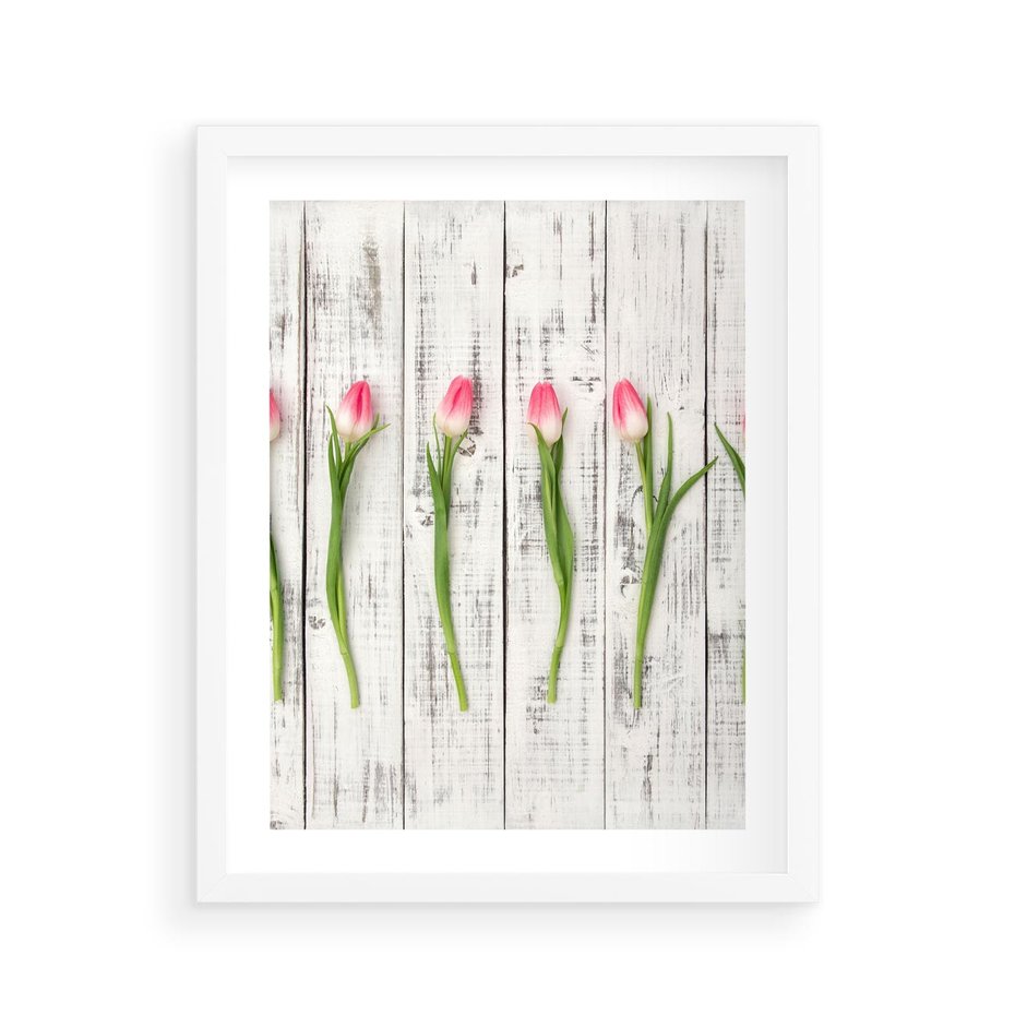 Plakat w ramie 40x50 - Kwintesencja Piękna - kwiaty, tulipany - rama biała