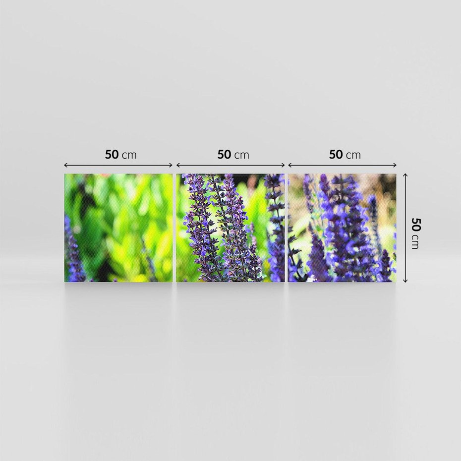 Obraz na płótnie 150x50 - Ogród Lawendowy - lawenda, kwiat