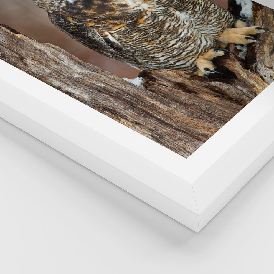 Plakat w ramie 30x40 - Tajemniczy Stróż - sowa, las - rama biała