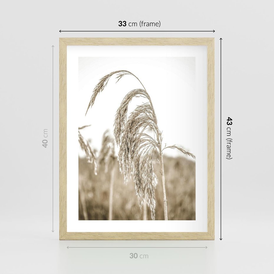 Plakat w ramie 30x40 - Ujęcie Suchych Traw - suche trawy, zbliżenie - rama drewno