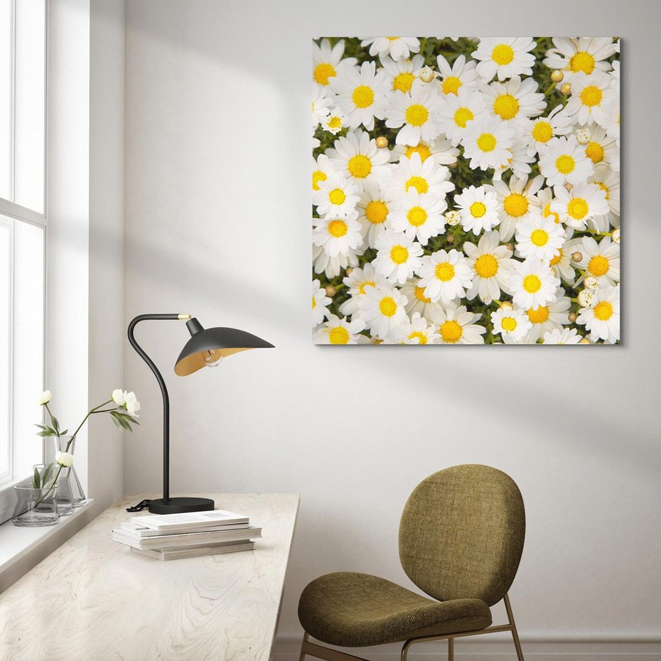 Obraz na płótnie 60x60 - Delikatność Kwiatowej Przyrody - stokrotki, kwiaty