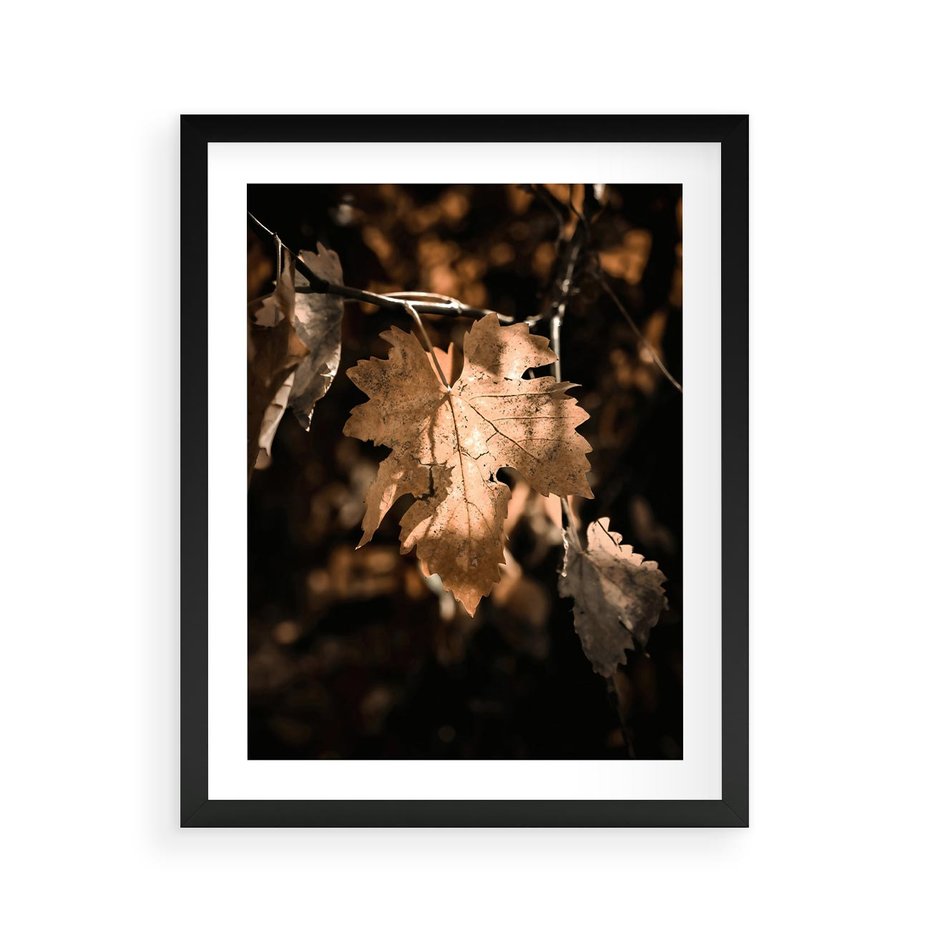 Plakat w ramie 40x50 - Uroczy Liść na Drzewie - jesienny liść, żółty liść na drzewie - rama czarna