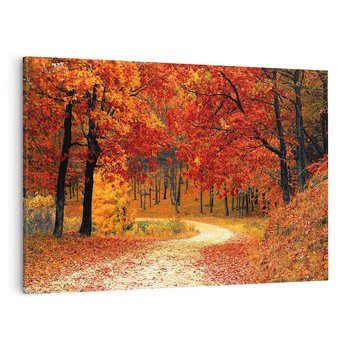 Obraz na płótnie 70x50 - Jesienna melodia lasu - jesień, las