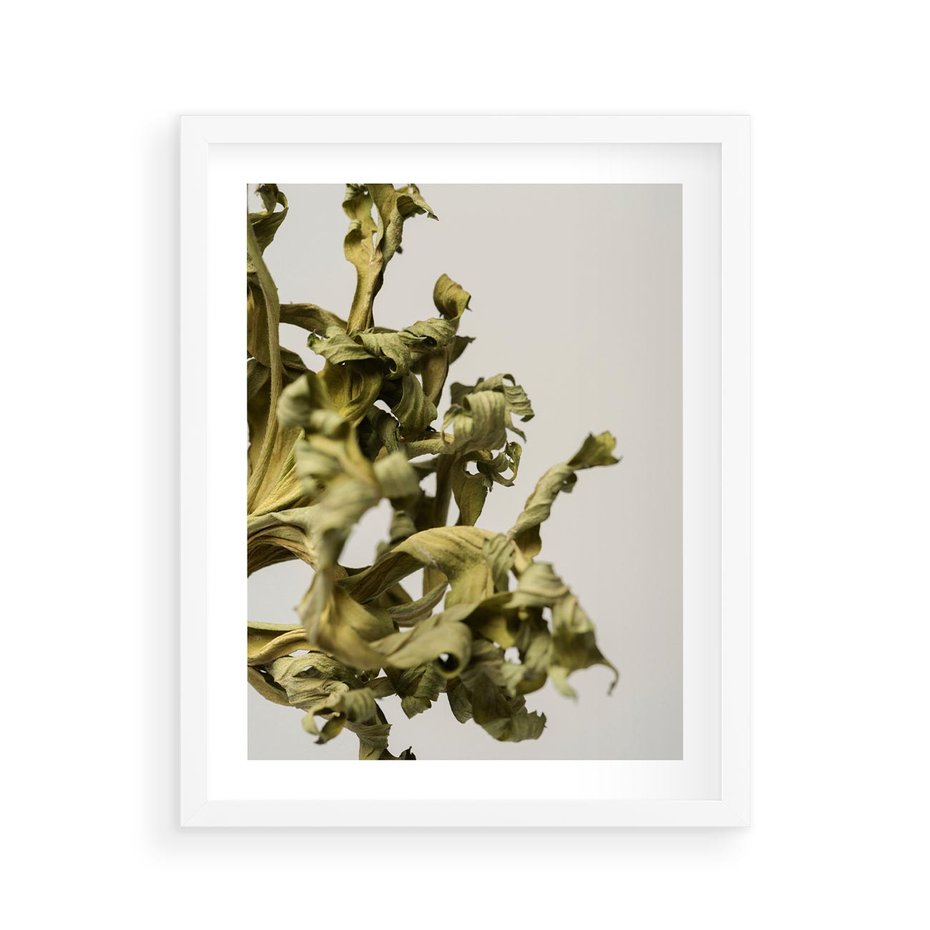 Plakat w ramie 40x50 - Odejście pory deszczowej - suche, trawy - rama biała