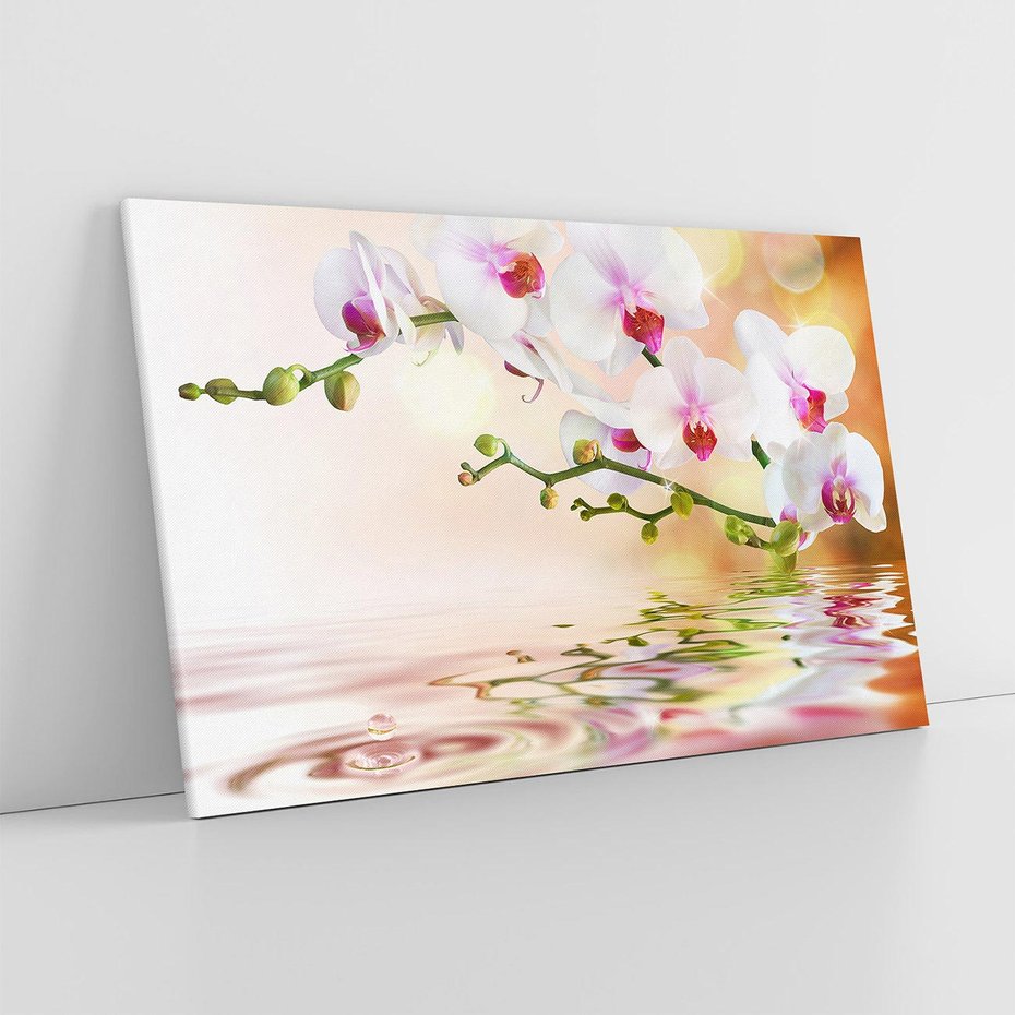 Obraz na płótnie 70x50 - Elegancja orchidei - orchidea, kwiaty