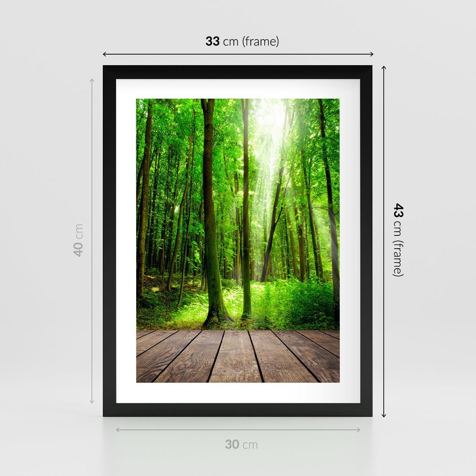 Plakat w ramie 30x40 - Spacer po urokliwej dróżce w lesie - las, dróżka - rama czarna