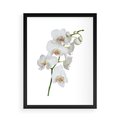 Plakat w ramie 50x70 - Ekskluzywny Relaks - storczyk, spa - rama czarna