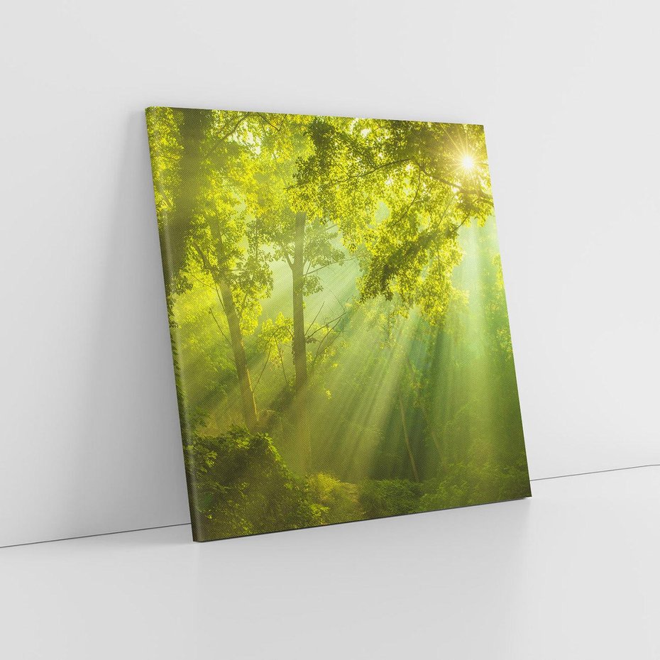 Obraz na płótnie 30x30 - drzewa w harmonii - las, drzewa