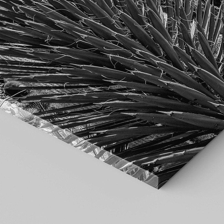 Obraz na płótnie 90x30 - Pustynny Klimat - czarno białe zdjecie, pustynia