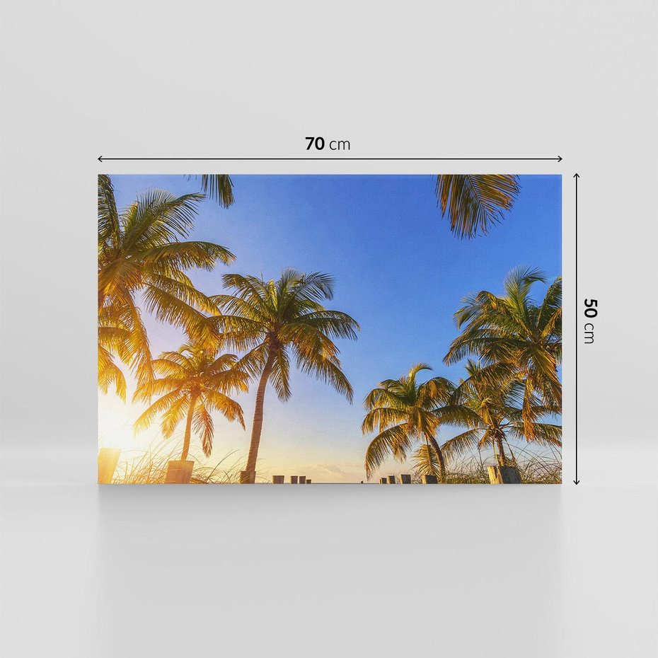 Obraz na płótnie 70x50 - Rajskie palmy w tropikalnym raju - palmy, tropiki