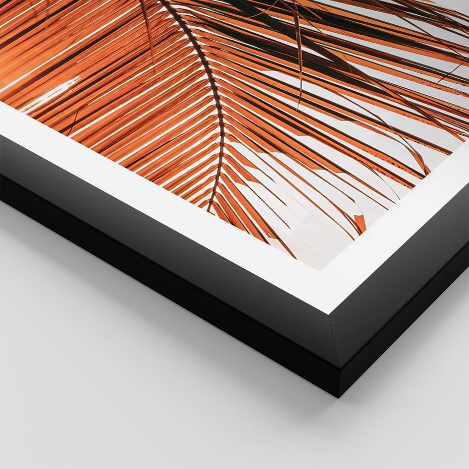 Plakat w ramie 50x70 - Słońce na Palmie - palma, promienie słońca - rama czarna