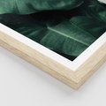 Plakat w ramie 30x40 - Liście Bananowca - minimalizm, zielone liście bananowca - rama drewno