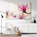 Obraz na płótnie 70x50 - Urok Magnolii - magnolie, kwiaty