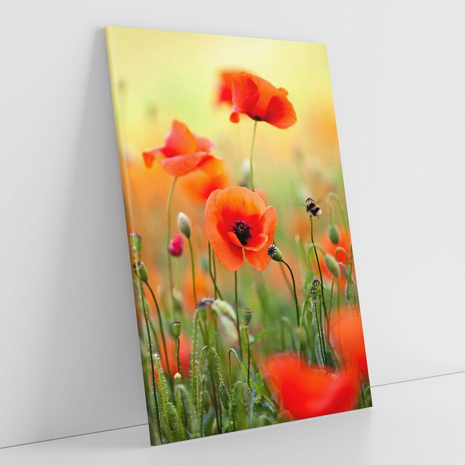 Obraz na płótnie 50x70 - Makowa Pasja - maki, kwiaty