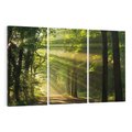 Obraz na płótnie 120x80 - Siła Natury: Las i Drzewa - las, drzewa