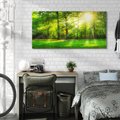 Obraz na płótnie 120x60 - Moc lasu - las, drzewa
