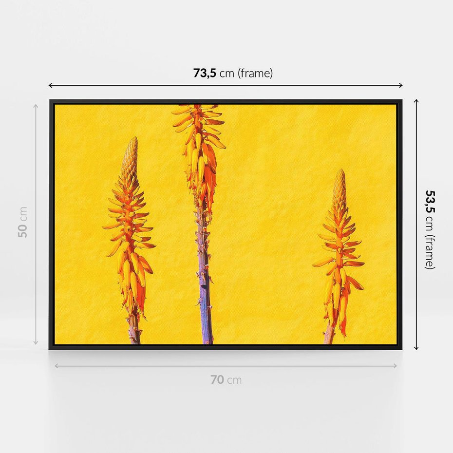 Obraz w ramie 70x50 - Radość Natury - kolor, kwiaty - rama czarna