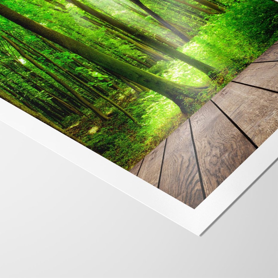 Plakat bez ramy 40x50 - Spacer po urokliwej dróżce w lesie - las, dróżka