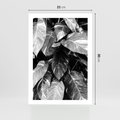 Plakat bez ramy 21x30 - Liście w Czarno-Białej Fotografii - liście, roślina