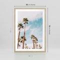 Plakat w ramie 50x70 - Tropikalna Sielskość: Palmy i Błękitne Niebo - palmy na tle błękitnego nieba - rama drewno