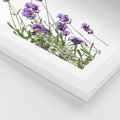 Plakat w ramie 50x70 - Delikatny Urok - lawenda, kwiaty - rama biała