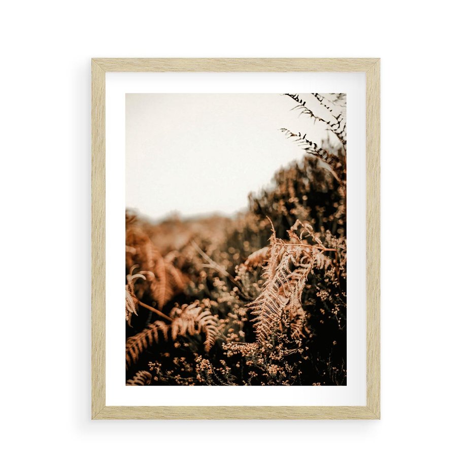 Plakat w ramie 40x50 - Jesienna Harmonia - suche paprocie, jesienny krajobraz - rama drewno
