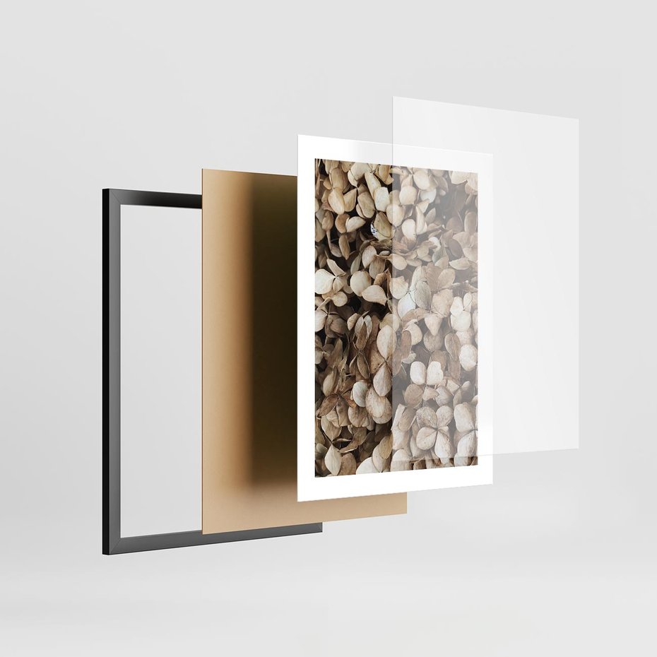 Plakat w ramie 30x40 - Delikatność Hortensji: Kompozycja Kwiatów w Beżu - hortensja, odcienie beżu - rama czarna