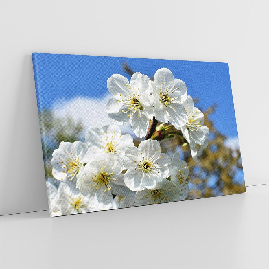 Obraz na płótnie 70x50 - Kwiatowa harmonia natury - kwiat, kwiaty