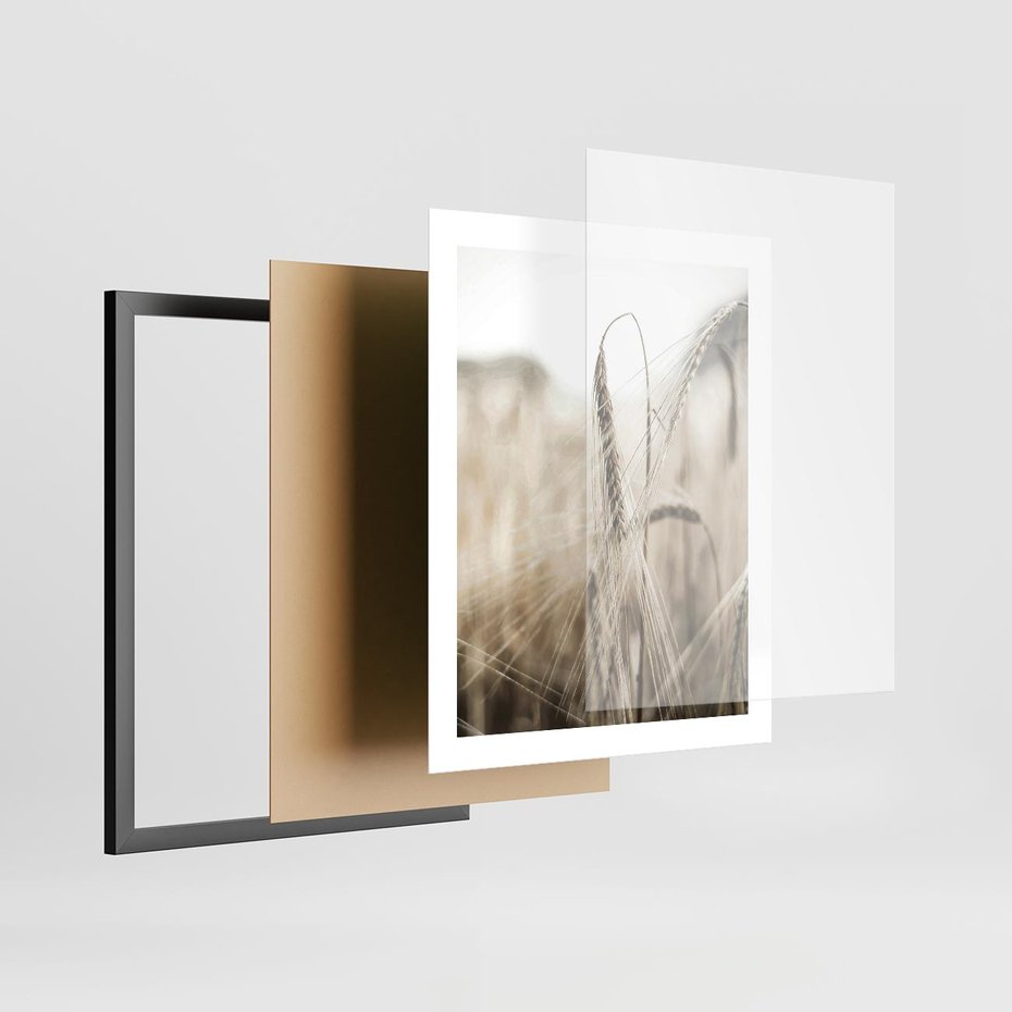 Plakat w ramie 40x50 - Kłosy Pszenicy w Sepii - zboże, kłos pszenicy - rama czarna