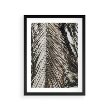 Plakat w ramie 40x50 - Egzotyczne Gałęzie - suche gałęzie, liście palmy - rama czarna
