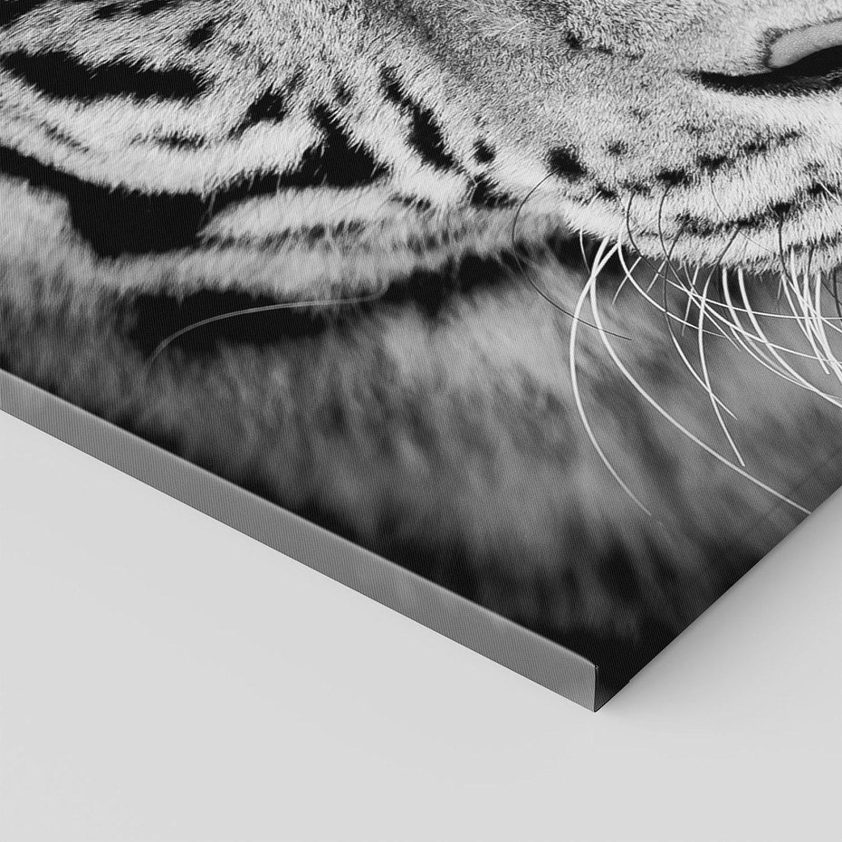 Obraz na płótnie 120x80 - Tygrys Czarno-Biały: Siła i Delikatność - tygrys, czarno
