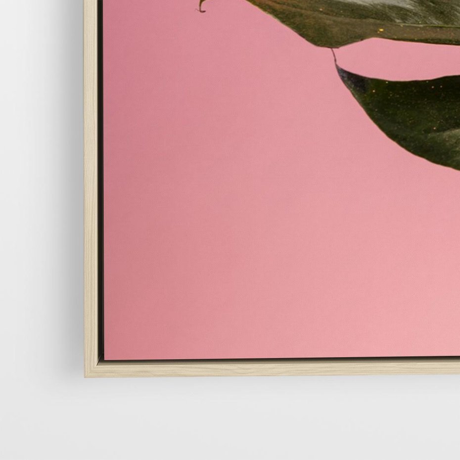 Obraz w ramie 70x50 - Majestatyczna monstera - monstera, liść - rama drewno