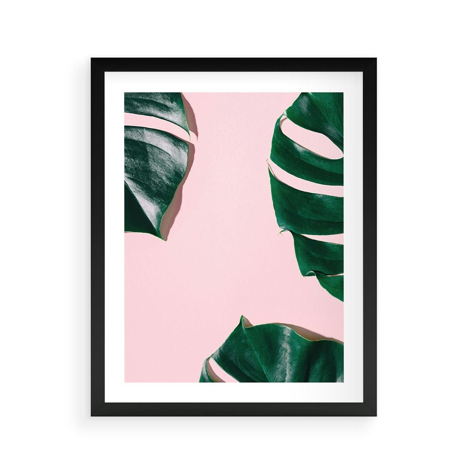 Plakat w ramie 40x50 - Minimalizm Natury - minimalizm, liście monstery - rama czarna