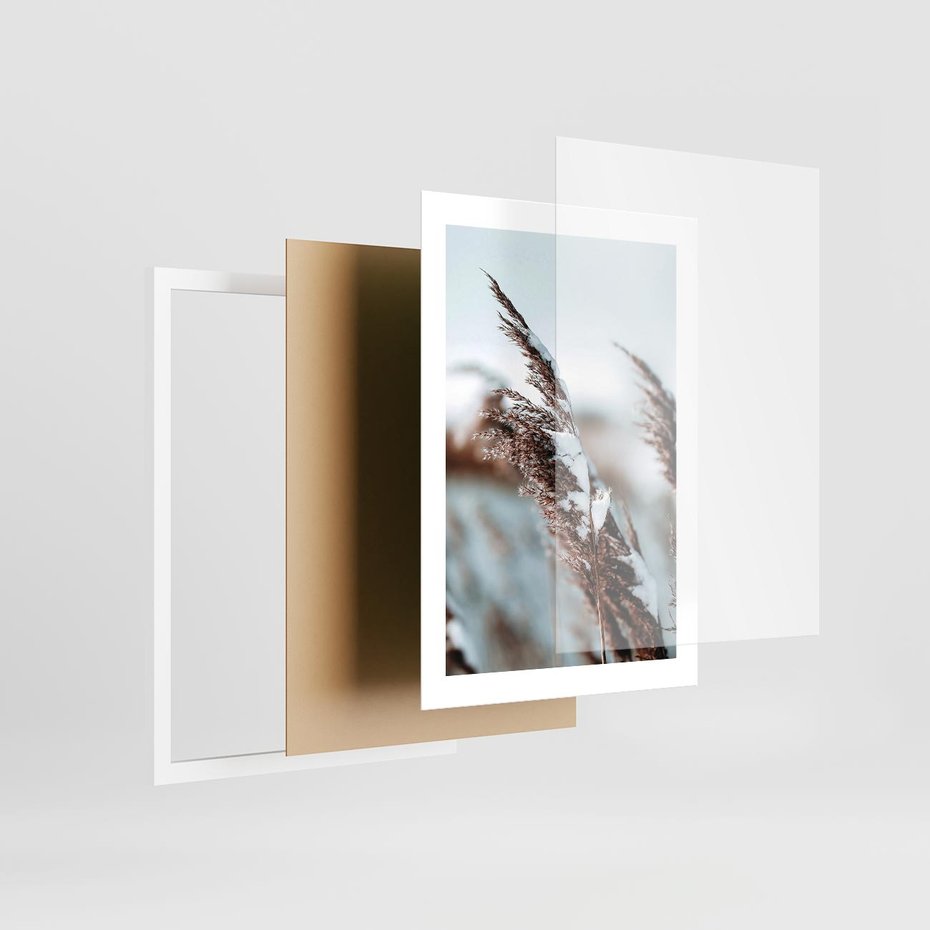 Plakat w ramie 30x40 - Zima na Suchych Trawach - suche trawy, śnieg wysokich na trawach - rama biała